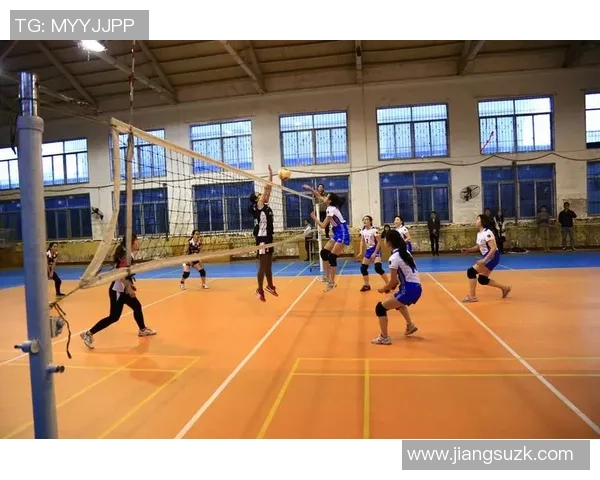 武汉排球队在杯赛中的比赛经验与表现分析